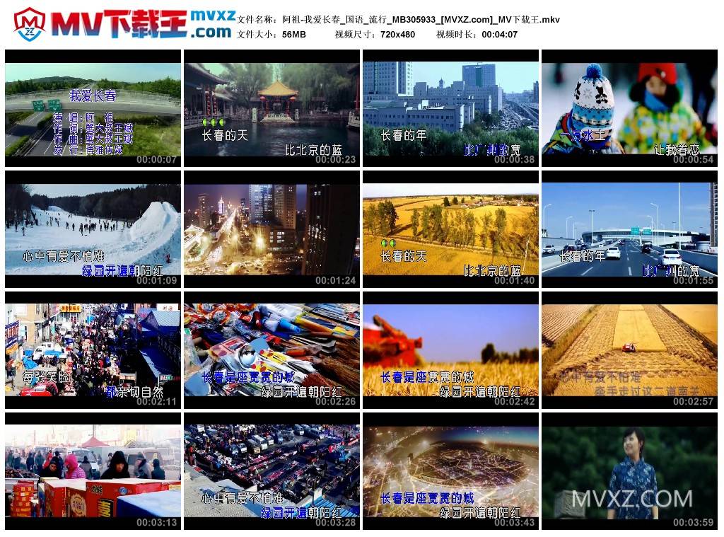 阿祖-我爱长春_国语_流行_MB305933